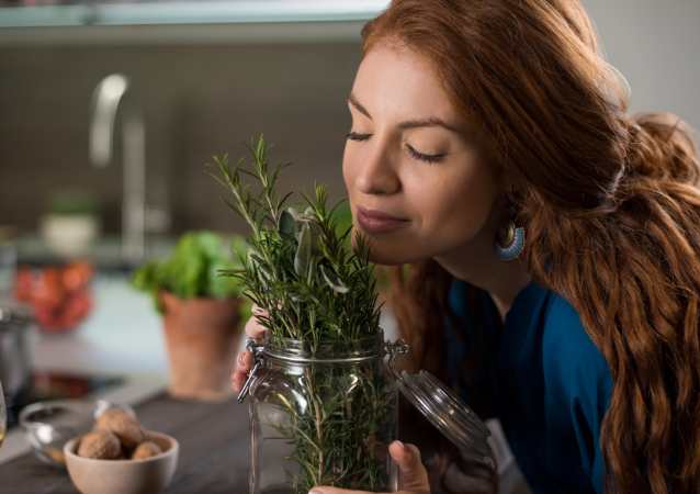 Leia mais sobre o artigo Vaso de Alecrim na Cozinha, como cuidar dessa planta?