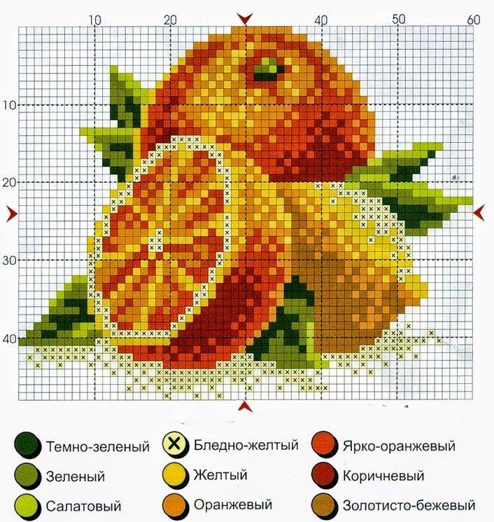 graficos ponto cruz frutas